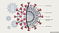 Pin page