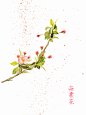 小气的我，小气的花。