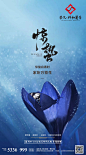 惊蛰节气海报 (22)