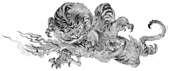 嗨天峰采集到线，黑白