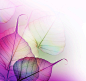紫色透明树叶背景图片