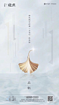 立秋24