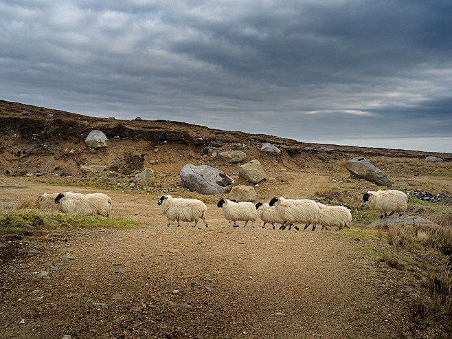 ARRANMORE : Welcome ...