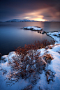 tinnacriss:

Thingvellir by erezmarom 
