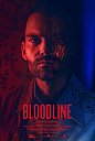 血亲 Bloodline 海报