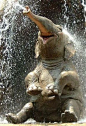 Funny Elephant | See More Pictures | #SeeMorePictures | Animals