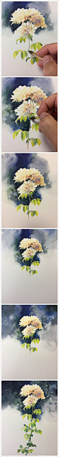#水彩玫瑰花#表现光感最关键的是留白，用深色背景来衬托。这么密集的光斑，我也是过足瘾了，你们看得过瘾不 ​  （作者： 水彩画家黄有维） ​ ​​​​