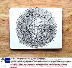 菲律宾画师Kerby Rosanes，几何图形与动物插画的碰撞