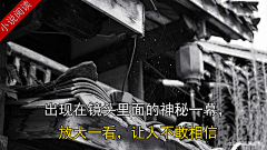 松lansong采集到微恐剧情