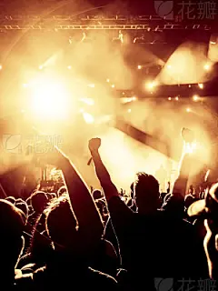 Concert Crowd