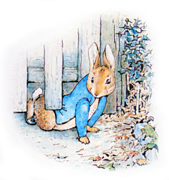 zxytc007采集到波特女士Helen Beatrix Potter