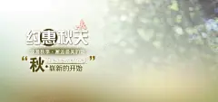 淘宝秋天女装绿色背景banner 设计图片 免费下载 页面网页 平面电商 创意素材