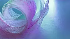 好看的壁纸的搜索结果_百度图片搜索