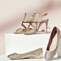 Salvatore Ferragamo (@ferragamo)的Instagram主页 | Tofo.me: Instagram网页版