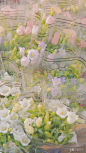 #摄影（花）#
