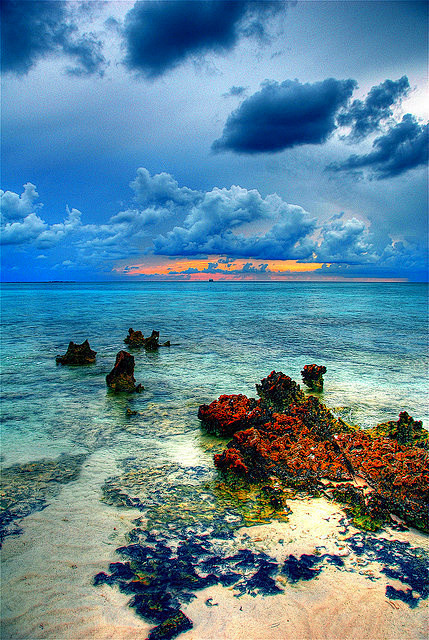 开曼群岛风景一瞥，美得太像画了！
