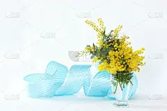 含羞草的插花