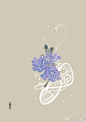 #365天生日花# 3月11日 菊苣（Chicory)花语：慎重
 