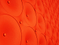 Shutterstock + Pantone Project Fall Color Trends: Tangerine Tango