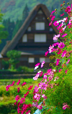 彼岸·三生来世采集到刹那芳华