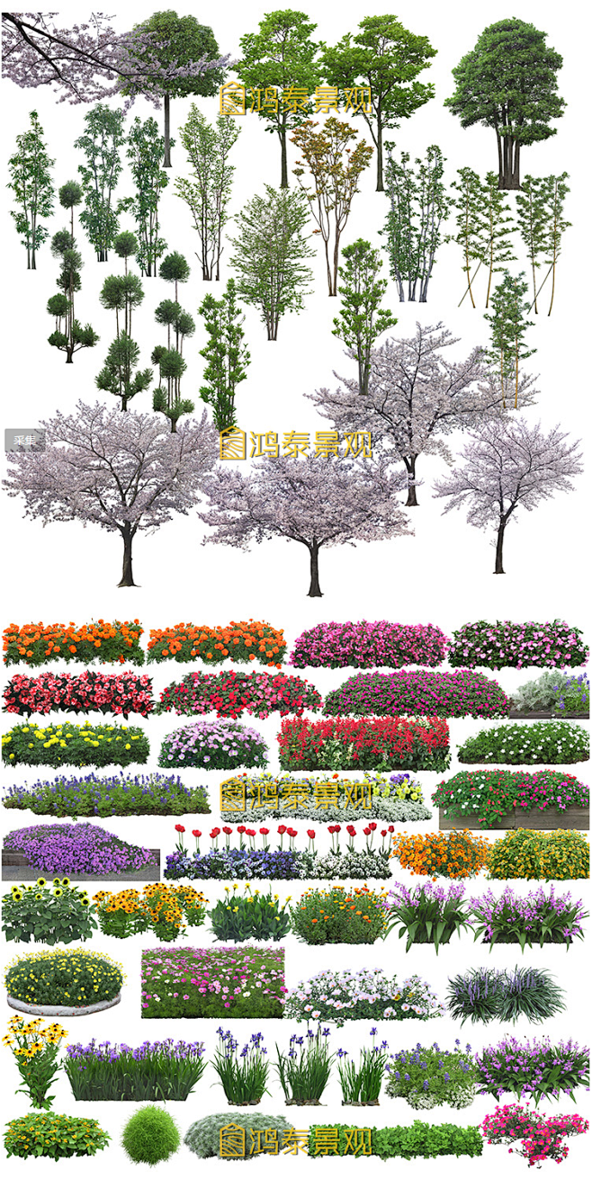 建筑景观园林效果图植物PSD分层素材源文...