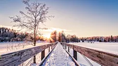 冬季唯美雪景高清电脑桌面主题壁纸图片(二)