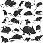 鼠,老鼠,可爱的,矢量,模板,哺乳纲,现代,剪影,设计,布置