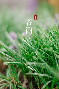 精选谷雨二十四节气风景安卓手机壁纸下载
