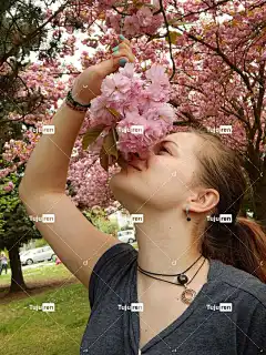 樱花 味道 花壁纸 花卉背景 自然 花朵 分支 美丽的花朵 女孩