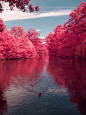 Beautiful Cherry River,West Virginia