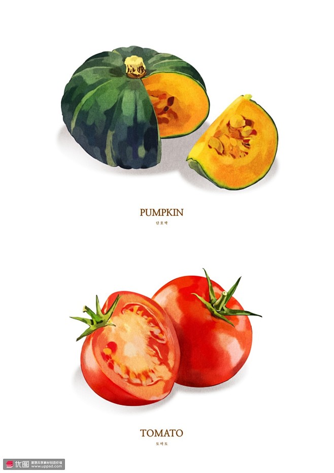 蔬菜食材美食插画
