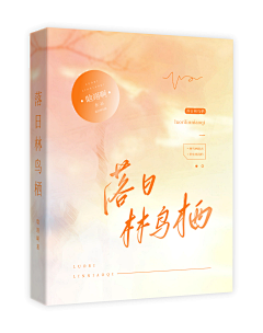 咖-啡不失眠采集到素锦封面【赏析】