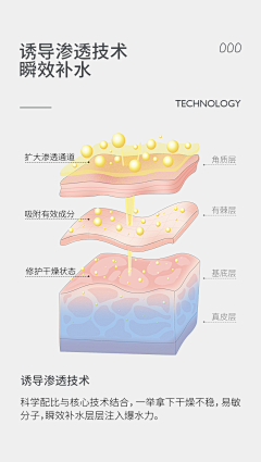 岳小贝采集到详情模块素材