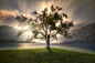Let the Light In by Casey McCallister on 500px