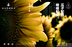 Colors-Jaron采集到MORE+情感