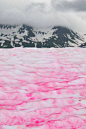 南极-极地雪藻：极地雪藻（Chlamydomonasnivalis）南极的乌克兰考察站附近出现了一种粉红色的西瓜雪。之所以是红色的，是因为在极地生长的一种微生物-极地雪藻。极地雪藻是单细胞绿藻，经过紫外线的照射后，极地雪藻的基本成分发生了较为明显的变化，颜色看起来会呈红色。