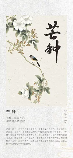 二十四节气古风中国风芒种