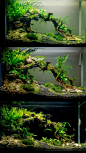 Aquarium Ideas...   Planted Tank ideas for your aquarium, called Aquascaping for those of you who don't know. Take your fish tank to the next level.