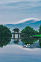 浙江杭州西湖风景区曲院风荷夏季荷花正版图片素材