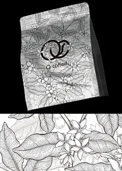 黑白线条手绘风格插画咖啡包装设计
+V：774396206