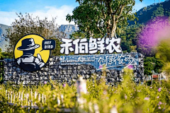 嘻哈纹身采集到乡村节点