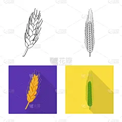 农业,分离着色,标志,一个物体,谷物,食品,面粉,尖的,春天,糠