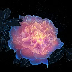 夜晚的花朵-ANKEL_花,插画_涂鸦王国插画