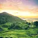 山野清晨#摄影E 风光# 旅行# 美图#建筑#植物
