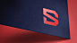 SleekDigital新加坡应用开发公司品牌形象视觉设计

