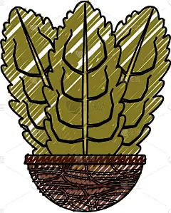 锅,植物群,分离着色,鸡尾酒,自然,华丽的,清新,房屋,图像,装饰