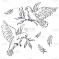 鸽子或鸽子与橄榄枝或树枝在嘴孤立的草图