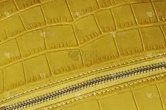 手袋的细节，拉链由真皮压花在爬行动物的皮肤下。概念购物，制造，配件