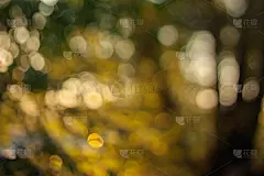模糊的壁纸。