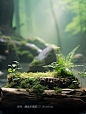 背景 (2)